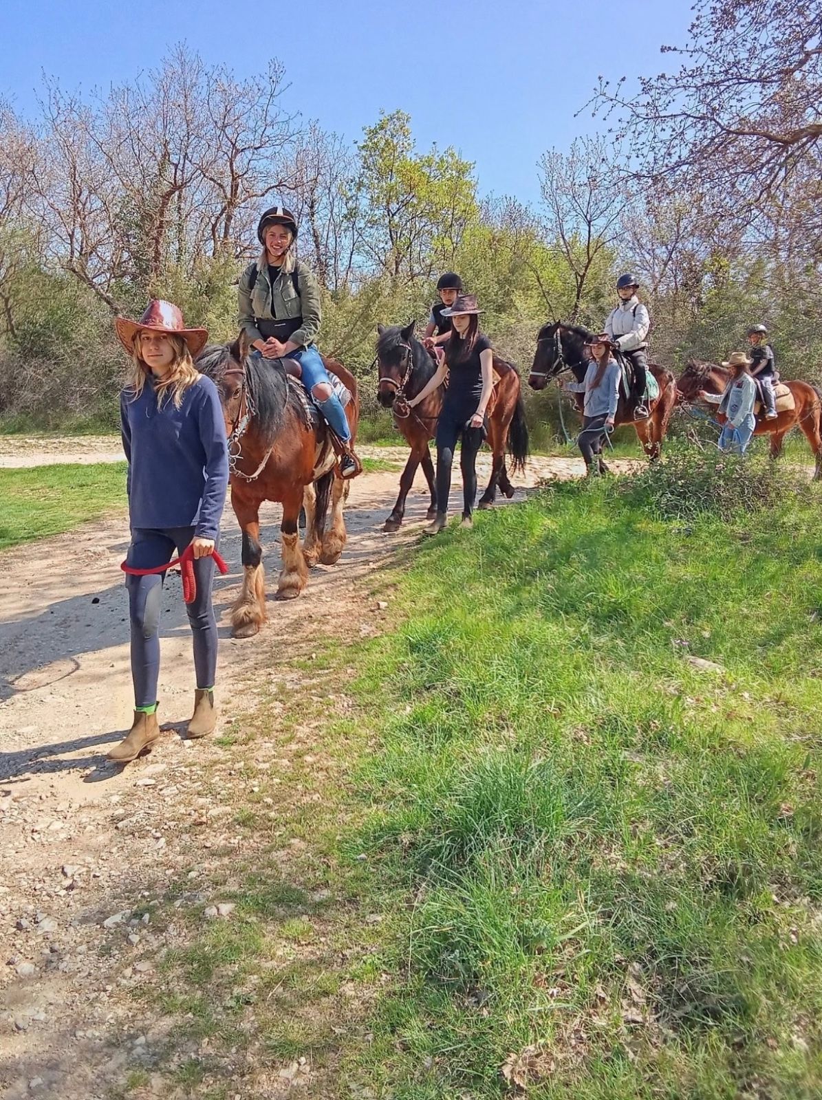 A group of riders on the ranch horses, led along a dirt path through the trees on a sunny day