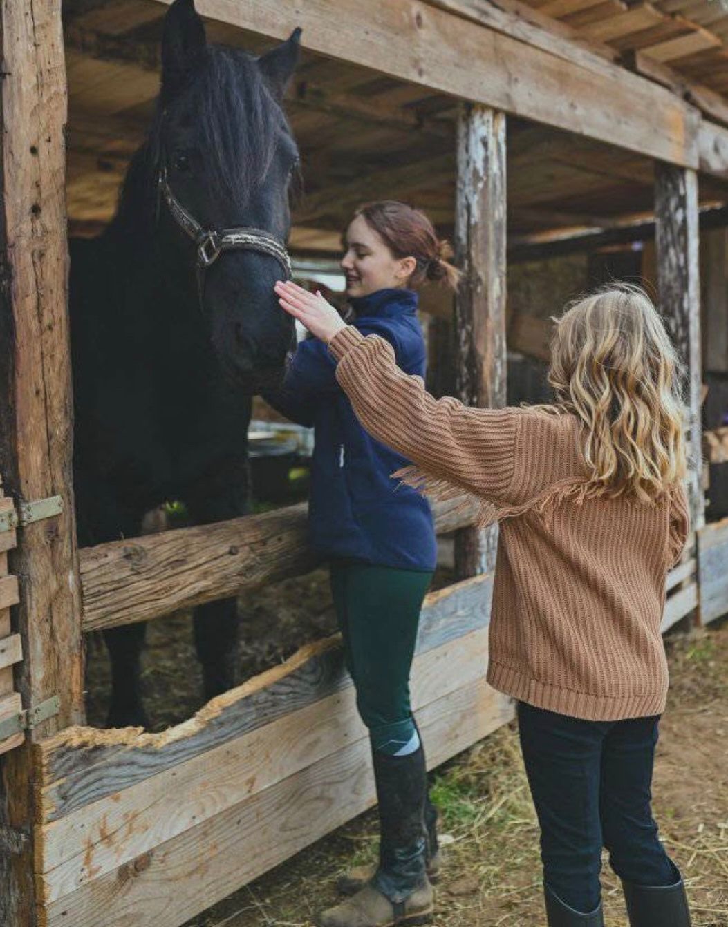 Two girls stroking a black horse over the wooden stall of the stable