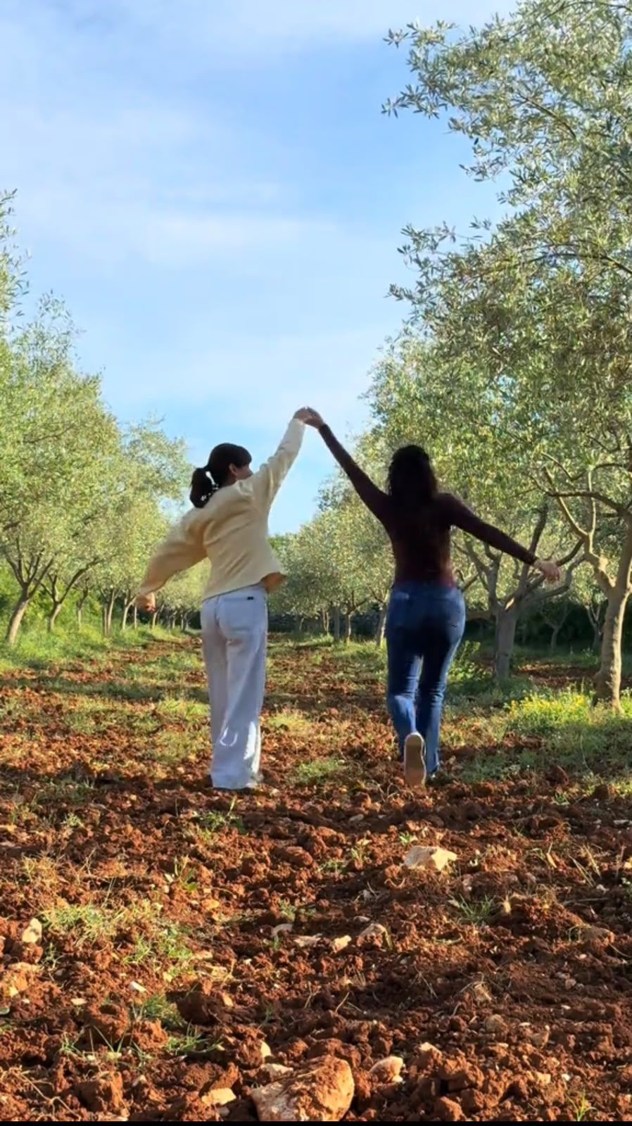 Two young women walking hand in hand between the olive trees