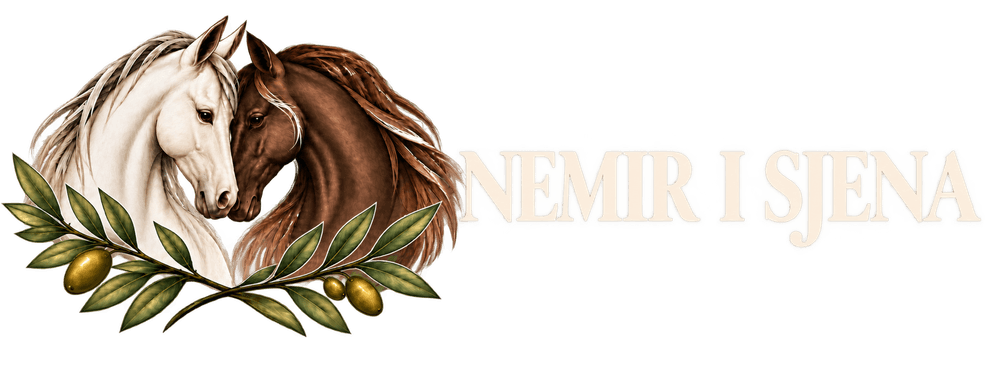 Nemir i Sjena