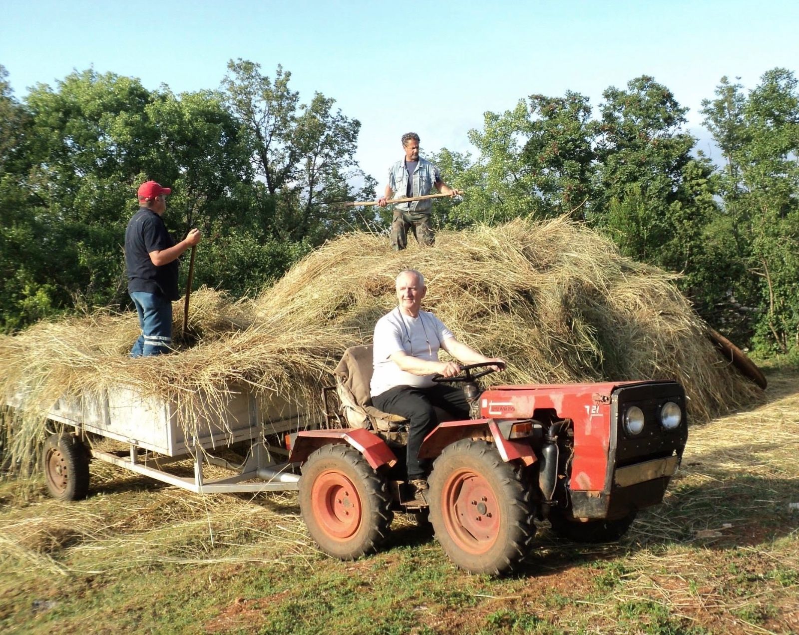 The founder and his father loading hay onto a trailer behind a small red tractor at the first ranch